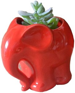 Maceta de Cerámica Roja con Diseño de Elefante, Linda Maceta para Cactus y <span class=keywords><strong>Suculentas</strong></span> - Product Image 2
