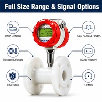 Sensor de Flujo de Turbina de PTFE de Grado Químico, Medidor de Flujo de Alta Precisión RS485 Modbus para Líquidos Químicos DN15