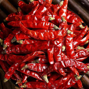 Premium Quality Dried Red Chili Peppers Natural Spice for Cooking Bulk Packaging No Additives Whole Chilli - Product Image 5