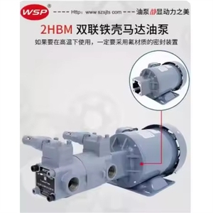 ปั๊มน้ำมันเครื่องยนต์คู่ WSP รุ่น TOP-2MY750-212HBM-VB TOP-2MY750-216HBM-VB TOP-2MY750-220HBM-VB TOP-2MY1500-203HBM-VB ของแท้ใหม่ - Product Image 4