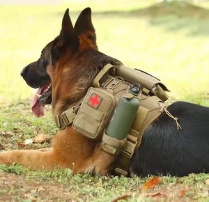 Dog Tactics Trainer Training Vest <b>Backpack</b> Harness Perro Para Accessories Big Dog Harnesses - Product Image 1