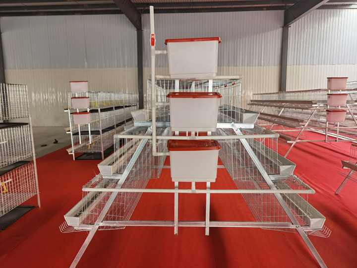 Bangyuan Hot Galvanized 4 Layers a Type Chicken Layer Fully Automated Battery Cage System for Sale