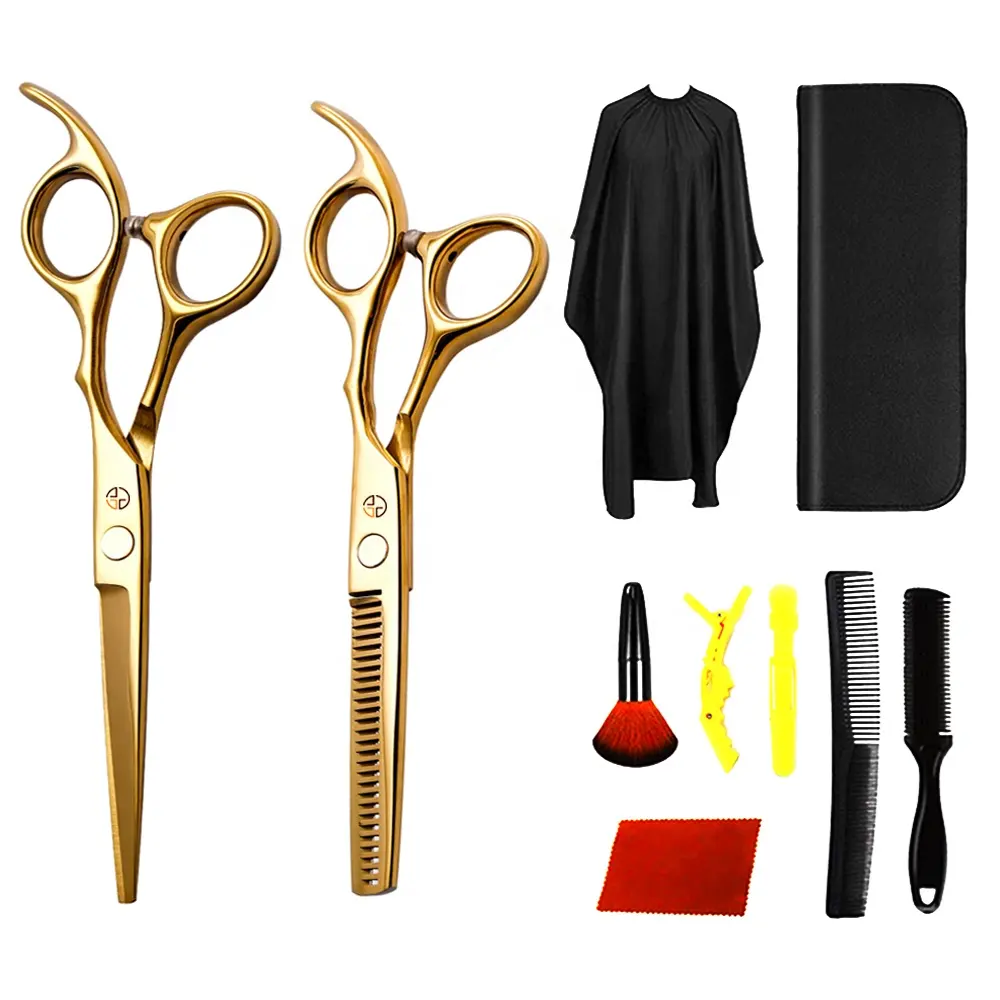 Ensemble de ciseaux professionnels pour coupe de cheveux 6 pouces, en acier inoxydable, or, pour coiffeur, 10 pièces