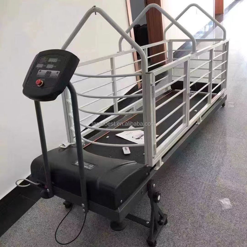 Professional Trainer s Treadmill for Dogs