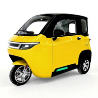 Tricycle électrique EEC L2e homologué UE, batterie au plomb-acide 72V 120AH pour une autonomie de 100 km, pas besoin de permis de conduire pour adulte