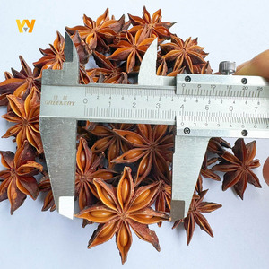 Anís estrellado de Guangxi, especias de fábrica, sin azufre, recolectado a mano, cosecha de otoño, aroma agradable, semillas de anís estrellado para cocinar - Product Image 2