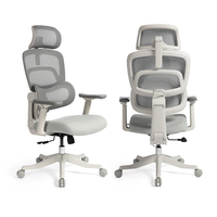 Chaise de bureau ergonomique pour adolescents certifiée BIFMA CE, accoudoirs réglables, soutien lombaire adaptatif pour la maison, la chambre et le bureau