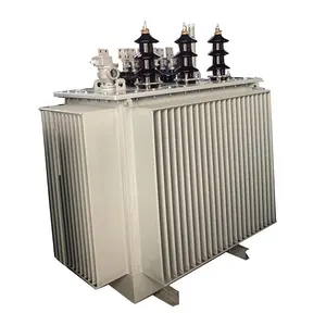 Transformador de aleación amorfa sumergido en aceite de 1 MVA de baja pérdida ONAN IEEE 20kv 400V Dyn11