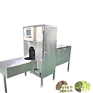 Equipo pelador de frutas y verduras para un pelado eficiente - Product Image 2