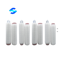 Support de couche PP 10 pouces 0.2 Um hydrophile PES Micro cartouche filtrante plissée Filtration finale pour le traitement de l'eau minérale