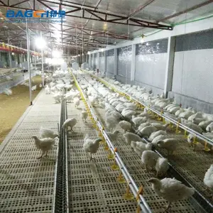 Chicken Feeding Equipment New Model Breeder Chicken Chain Feeding System Equipment For Poultry Breeder Farm House