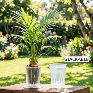 <span class=keywords><strong>Pot</strong></span> de fleurs portable en plastique transparent avec design clair pour plantes à racines aériennes, orchidées, avec <span class=keywords><strong>pot</strong></span> de contrôle des racines transparent - Product Image 5