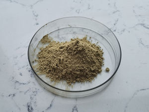 중국 공장 인센 공급 좋은 품질의 천연 녹색 커피 콩 추출물 - Product Image 5