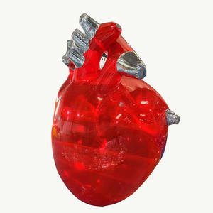 Shunyu Заказная надувная прозрачная модель красного сердца для медицинского Выставочного Мероприятия - Product Image 1