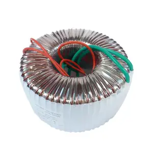 50W 100W 300W 500W Driver 220V Ke 24V Transformer Cincin Transformer Elektronik Iolating