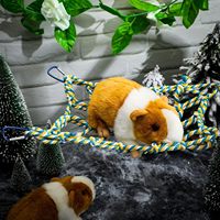 Lot de 2 cordes d'escalade et hamacs suspendus pour rats, décorations de cage pour hamsters, perroquets, petaurs, furets et petits animaux