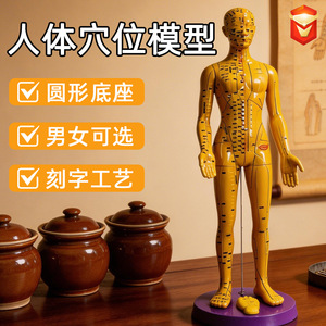 Acupoint <b>Model</b> Human Body Teaching 58cm60cm PVC Reusable Exhibit For Education - Product Image 3