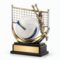 Trophée de volley-ball, Coupe de trophée de volley-ball, Trophée sportif personnalisé pour vainqueur de volley-ball