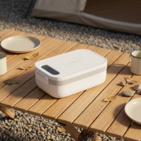 Boîte à lunch électrique rechargeable de 1000 ml, alimentée par batterie, chauffe-aliments portable pour le bureau et les voyages