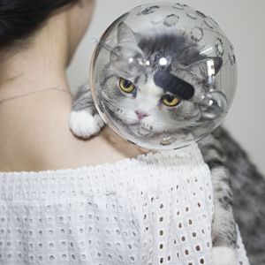 Doe Pet copricapo regolabile per gatti in stile semplice casco da gattino per evitare che mordano la pulizia da masticare respiri traspiranti cappuccio da gatto - Product Image 1