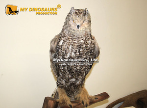 Modello di Gufo Animatronico Realistico a Grandezza Naturale per Esposizioni Zoo - My Dino - Product Image 5