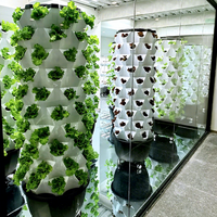 Tour d'ananas hydroponique, système hydroponique vertical automatique