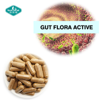 Supplément de santé digestive extrait de plantes chats griffe Andrographis extrait d'ail Capsule pour la flore intestinale
