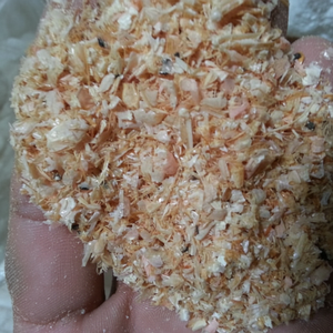 กุ้งแห้งคุณภาพพรีเมี่ยมส่งออกจากเวียดนามพูดสารเคมีฟีและแห้งในแดด - Product Image 1