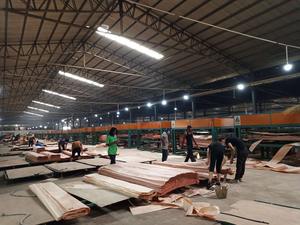 China Wholesale Natural <strong>Wood</strong> <strong>Veneer</strong> 0.15-1mm Natural Okoume Bintangor Birch Poplar <strong>Veneer</strong> for Interior and Furniture Decoration - Product Image 6