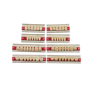 Dientes de Resina Acrílica para Toda la Boca, 28 Piezas/Juego, Dentadura Sintética Dental de Dos Capas - Product Image 5