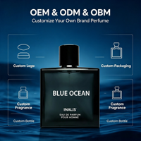Parfum de marque pour homme, 100 ml (3,4 fl.oz), senteur longue durée, Océan Bleu, personnalisable avec votre logo, vente en gros