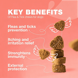 OEM/ODM PetParasiteDefense Friandises à mâcher souples <span class=keywords><strong>anti</strong></span>-<span class=keywords><strong>puces</strong></span> <span class=keywords><strong>et</strong></span> <span class=keywords><strong>tiques</strong></span> pour chiens, Soutien immunitaire, Absorption rapide, Formule pour toutes races, Soins de santé pour animaux de compagnie - Product Image 3