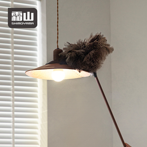 Shimoyama Hộ Gia Đình Thanh Lịch Bụi Khăn Lau Bụi Chất Lượng Cao Lông Óc Chó Đà Điểu Lông Đầu Cho Hiệu Quả Loại Bỏ Bụi Gỗ Xử Lý - Product Image 5