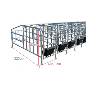 Профессиональный дизайн трубчатых свиноматок стойкие оцинкованные стальные свиноприборы для ферм - Product Image 4