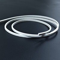 Bande lumineuse LED néon flexible en silicone ultra-fine 4*3mm DC5V USB RGBIC WS2812 IP67 étanche et adressable pour la décoration de voiture DIY