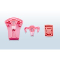 Kit de formation pour la pose et le retrait d'un dispositif intra-utérin, ressources pédagogiques, simulateur de formation en obstétrique et gynécologie