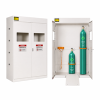 Gabinete de Seguridad para Cilindros de Gas Ignífugo, Acero Laminado en Frío con Detector de Fugas de Gas para Laboratorio Universitario