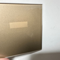 Panel Kaca Jendela Visual Semi-Transparan Emas Perak dengan Cetak Sutra, Saklar Sentuh Dinding Hotel 1mm 2mm 3mm