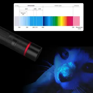 USB Type-C Rechargeable Paper Detection Uv Torch 365 Nm Uv Led Flashlight/