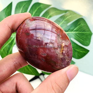 Gỗ Hóa Thạch Được Đánh Bóng Giá Sỉ Đá Cọ Hóa Thạch Cho Phong Thủy - Product Image 3