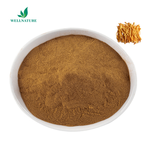 Заводская поставка, 100% натуральный экстракт Кордицепса армейского, 10:1 порошок экстракта Кордицепса китайского - Product Image 2