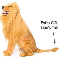 Jungle King Perruque en fourrure artificielle pour chien, modèle tête de lion amusante – Accessoire capillaire pour animaux de compagnie toutes saisons et fêtes