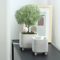Pot de cactus de pots de plantes vertes de ciment de haute qualité avec des jambes en bois pour la décoration de jardin à la maison
