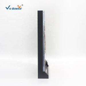 Modèle du cœur et du système circulatoire - Product Image 2
