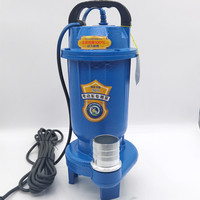 Pompe submersible solaire 24v dc pour déchets d'égout, avec cutter pour l'irrigation, pompe à eau solaire