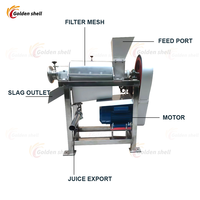 Extracteur de jus commercial en acier inoxydable, machine à jus de fruits, extracteur de jus industriel