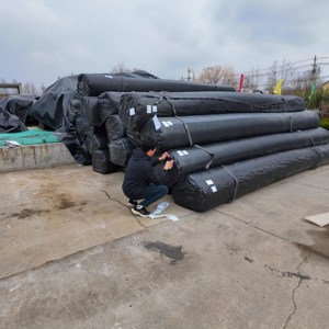 Red Geotextil Compuesta para Refuerzo <span class=keywords><strong>de</strong></span> Suelos en Carreteras, Red Geotextil para Vegetalización <span class=keywords><strong>de</strong></span> Techos - Product Image 3