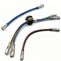 Arnés de Cables Preensamblado Personalizado con Núcleo de Ferrita, Terminales de Desconexión Rápida Tipo Pala Aislados y Terminales de Anillo para Electrodomésticos
