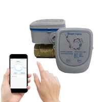 Vanne à boisseau sphérique électrique à distance Navarch LoRaWan avec interrupteur de débit pour contrôle de zone, irrigation intelligente, étanche IP68, haute température, OEM