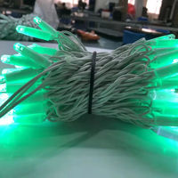 Lampu LED String Karet Bicolor 220V IP65 10m Putih dan Putih Hangat untuk Dekorasi Luar Ruangan